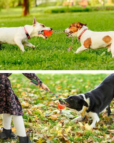 Harhana Rope Toys With Squeaky Ball - Tug of War Toy for Small, Medium Dogs - Durable Rubber, Interactive Fetch Toys for Boredom
