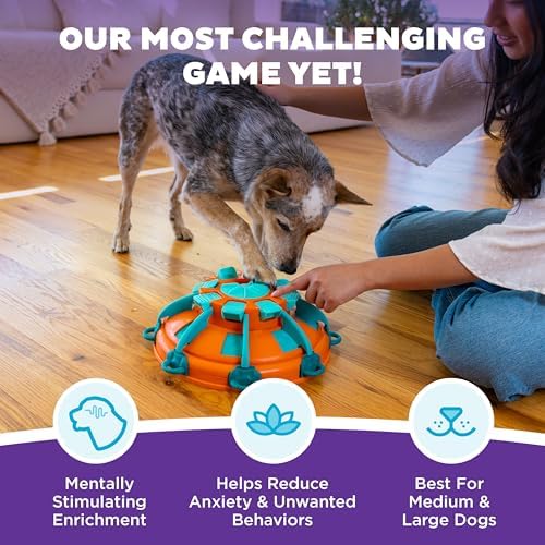 Outward Hound Nina Ottosson Tower of Treats Dog Toy Treat Puzzle, 12.5" | Level 4 Expert, 28 Hidden Treat Compartments, Multi-Level Challenge, Easy Clean, No BPA, Enrichment, Medium-Large Dogs