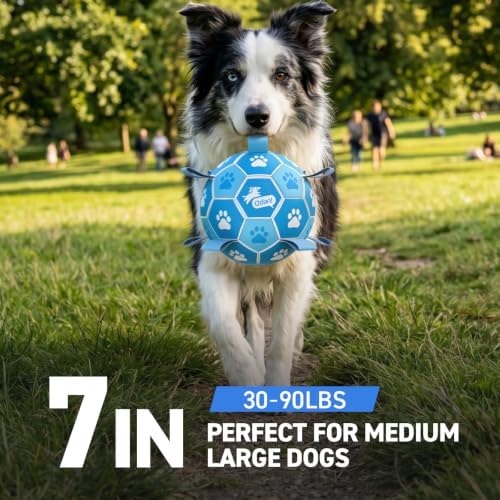 QDAN Dog Soccer Balls Toys : Premium Dog Soccer Ball with Straps, Outdoor Dog Toys, Pet Training Soccer for Medium Large (7 Inch)