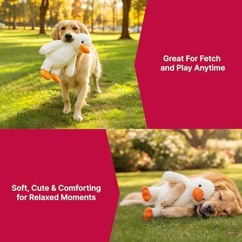 PetLou Colossal Durable Squeak Dog Toys -Durable Fabric -Tough and Reliable for Aggressive Chewers (00352)
