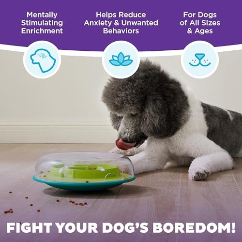 Outward Hound by Nina Ottosson Wobble Bowl Slow Feeder Dog Puzzle, Level 1 Beginner, 11.6 inches x 3.5 inches, Multicolored