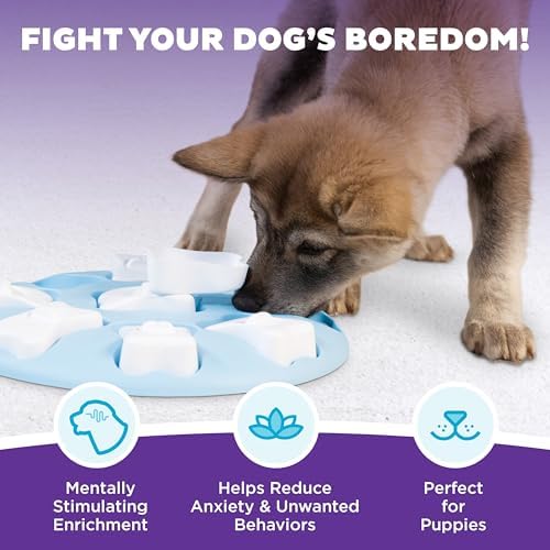 Outward Hound Nina Ottosson Puppy Tornado Dog Puzzle Interactive Treat Puzzle Dog Enrichment Dog Toy for Puppies, Level 2 Intermediate, Pink