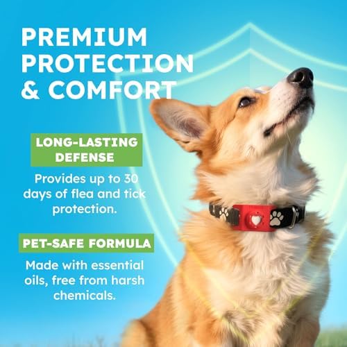 BugMD Paw Guardian Refill Tablets (3 Count)