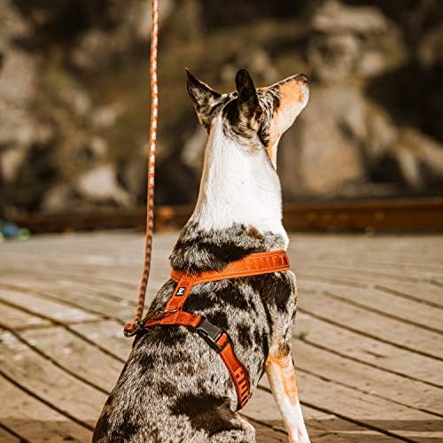 Hurtta Casual Padded Dog Y-Harness, Cinnamon, 35 in