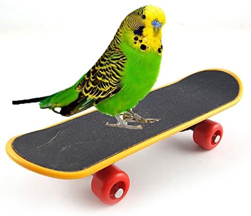 Bird Parrot Intelligence Toys Training Skateboard Stand Perch for Parakeet Budgies Cockatiels Lovebird Funny Talbe Toy