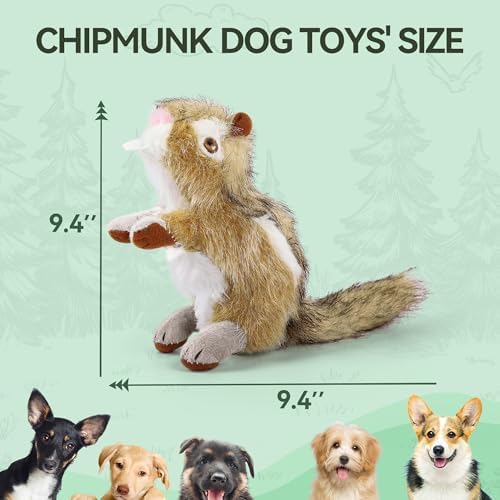 ALL FOR PAWS Chipmunk Squeaky Doy Toy, Squirrel Dog Toy for Medium Large Breed, Puppy Fetch Toy with Squeaker, Plush Chew Dog Toy, Chipmunk-L