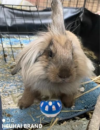 10 Pack Rabbit Toys for Bunnies - Safe, Fun and Long-Lasting Toys