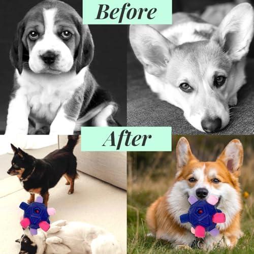Interactive Snuffle Ball for Dog Toys Unbreakable Upgrade Ball Toy