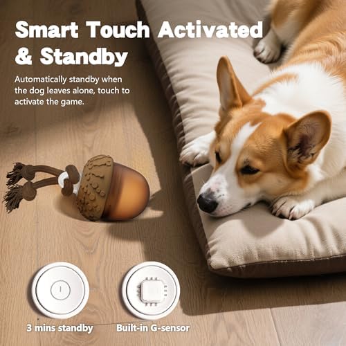 Interactive Dog Toy, Moving Dog Toys for Small Dogs to Keep Them Busy, Automatic Moving and Rolling Dogs Toy with Rope for Small Medium Large Dogs Boredom Relief, USB C Charger (Acron)