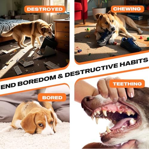 Fida 2-in-1 Puppy Teething Toys, Natural Rubber Chew Toys for Dogs, Carrot
