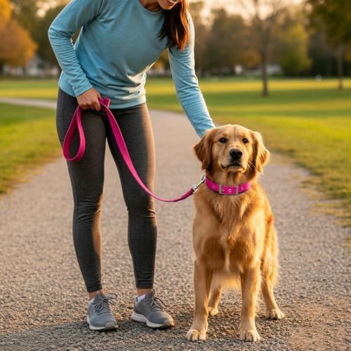Reflective Dog Collar for Large Dogs Wide Padding 6 Holes Adjusta