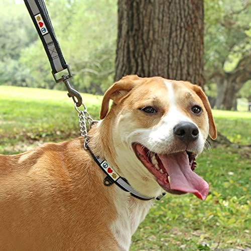 Pawtitas Martingale Dog Collar with Chain a Reflective Dog Training Collar for Medium Dogs | Nylon No Pull Dog Collar for Medium Dog - Green