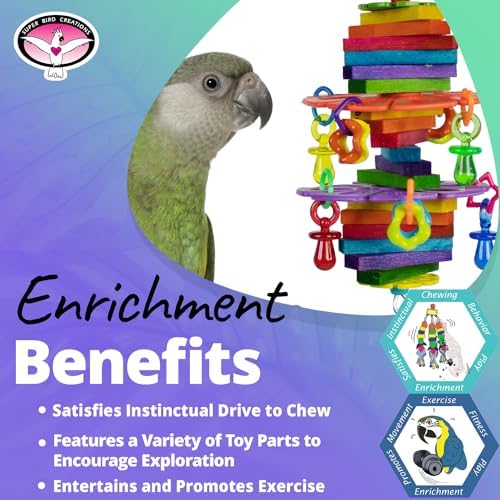 Super Bird Creations SB1184 Jolly Jingler Bird Toy - Enrichment Wooden Bird Toy - Satisfies Bird Chewing Instincts Parrots Ringnecks Medium Conures Quakers - Bird Toy for Medium Sized Birds, 8.5"x4"