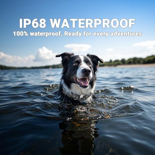 AirTag Dog Collar, IP68 Waterproof Integrated Air Tag Dog Collars