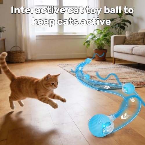 Cat Toy, Electric Interactive Toys for Indoor Cats, Blue