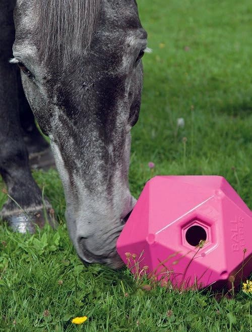 Ball Feeder