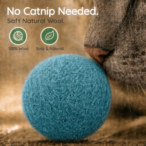 Wool Cat Toys - Felt Cat Toy Balls for Small Pet Fetch and Play - Eco Friendly Quiet Wool Ball Cat Toy for Cats and Kittens - 6 PCS Choose Your Colors (Aqua)