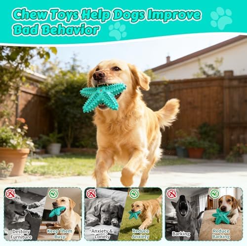 Dog Chew Toys Interactive Tough Floating Squeaky Toy