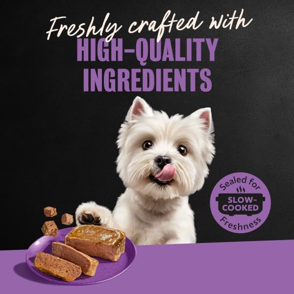 Cesar Classic Loaf in Sauce Wet Dog Food, Meaty Selects, 3.5 oz, 36 Count | Made in USA, Real meat #1 ingredient, no fillers or artificial flavors, formulated without grains, easy peel trays