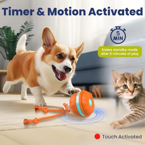 PAWSPIK Rope Runner Interactive Rechargeable Dog Ball Toy, Small
