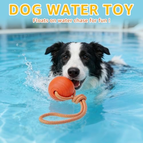 SCENEREAL Floating Dog Pool Toys - Ball on Rope Fetch and Tug-of-War Toy for Medium Large Dogs Outdoor Training, EVA Rubber Water Pet Interactive Toys for Summer Beach, Orange