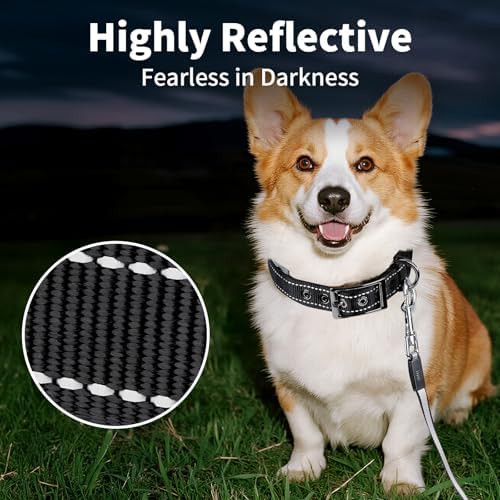 Segarty Reflective Dog Collar for Medium Dogs, Adjustable Wide Soft Comfortable Breathable Neoprene Padded Nylon Collar with Heavy Duty Metal Buckle for Medium Small Breeds (M, Black)