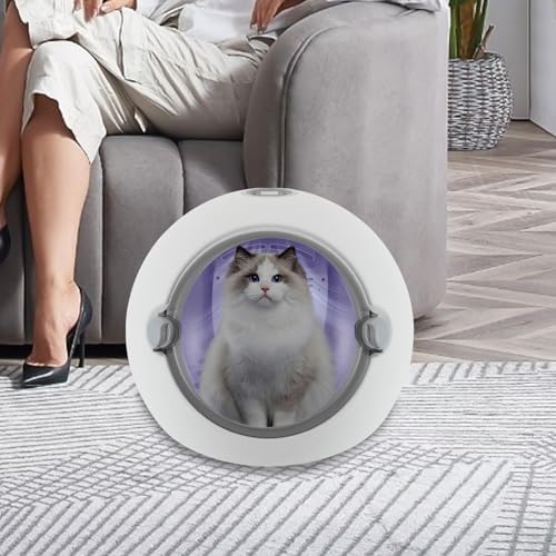 Pet Dryer Box, Fans Blower, Electric Hair Dryer for Small Dogs and Cats, Safety Door Lock, LCD Control Panel, with Smart Temperature Control, for Pet Shops, Households, Pet Relief Stations