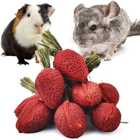 Fhiny Rabbit Chew Toys, 12 PCS Natural Hamster Molar Snacks Handmade Small Animal Chew Toys for Teeth Timothy Hay Treats Habitat Decor for Bunny Guinea Pig Chinchilla Hamster Gerbil Dental Care