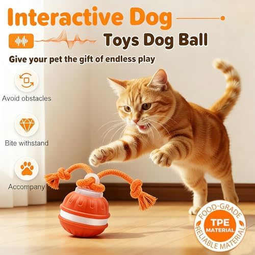 Interactive Dog Toys, Automatic Rolling Ball, Squeak Dog Toys for Boredom Interactive, Touch Activated, Dog Ball Chew Toy with Fun Rope for Small/Medium Dog Cat Indoor/Outdoor (Orange)