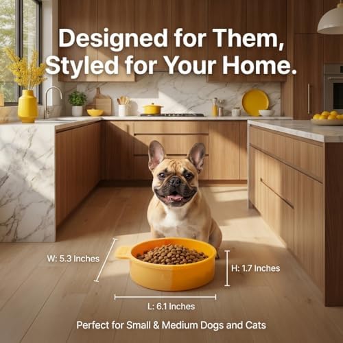 Silicone Slow Feeder Dog Bowl, Ombre Puzzle Maze with 4 Suction Cups, Flexible Travel Bowl for Fast Eaters (Blue)