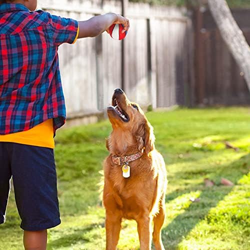 Interactive Dog Balls, 2 Pack Plush Squeaky Dog Toys Balls for Dogs, Football Basketball Dog Toy Ball Indoor Outdoor Sports Stuffed Puppy Toy for Small Medium Dog(Football+Basketball)
