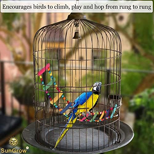 SunGrow Bird Ladder Bridge, 31x4 Inches, Raw Wood and Edible Dye, Suitable for Small to Medium Birds, 1 Piece