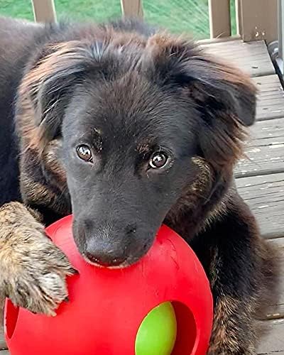 Jolly Pets Teaser Ball Interactive Dog Toy, 8 in Large, Red