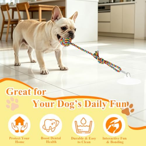 Suction Cup Tug of War Toy for Small Dogs Interactive Dog Rope Toy