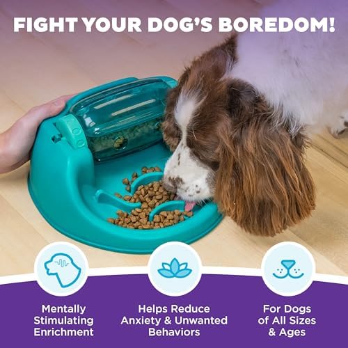 Outward Hound Nina Ottosson Spin N' Eat Dog Puzzle Toy & Slow Feeder, 11.6"