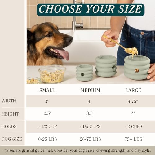 Should We Go? Interactive Dog Enrichment Toy with Freezer Plug, BPA-Free Silicone Puzzle Dog Freeze Bowl & Treat Dispenser for Mental Stimulation, Ideal for Kibble & Frozen Licks, Fits 10 oz, Medium