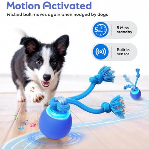 Interactive Dog Toys to Keep Them Chase Busy Buddy Doggie Ball for Small Puppy(Blue)