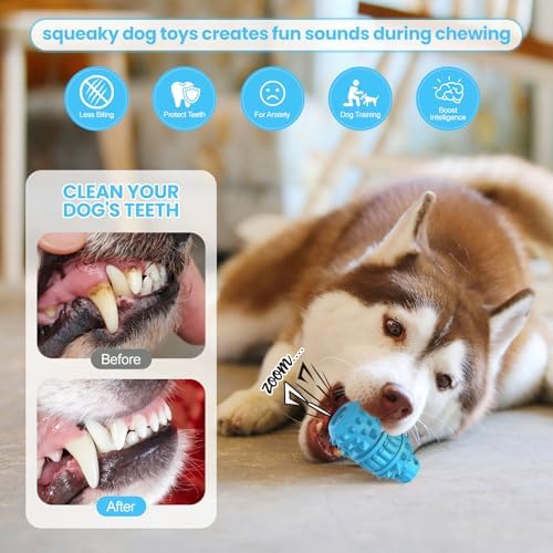 PIFFZEDO Natural Rubber Squeaky Dog Chew Toy for Medium Aggressive Chewers
