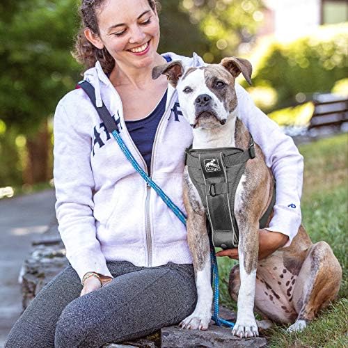 Kurgo Tru-Fit Smart Harness, Grey, Small