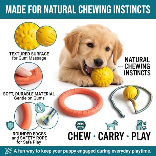 3-Piece Puppy Toys, EVA Chew Toy Set for Small Dogs
