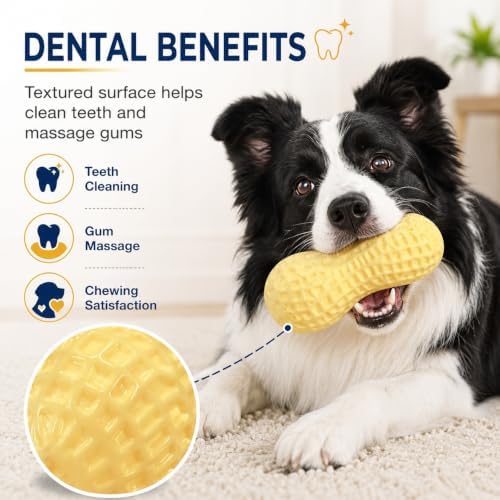 Dog Chew Toys, Interactive Peanut Shape Dental Care Squeaky Toy for Aggressive Chewers