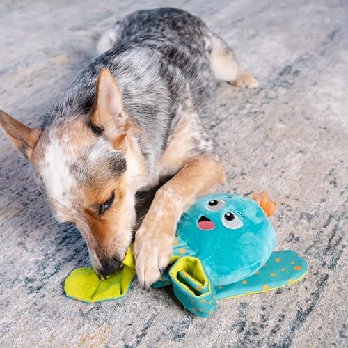 Outward Hound Nina Ottosson Silly Legz Octopus Dog Toy Treat Puzzle, 13.8" | Roll-Up Legs, 15 Hidden Treat Pockets, Plush Floppy Body, Squeaker in Head, Interactive Snuffle & Seek, Dogs & Puppies