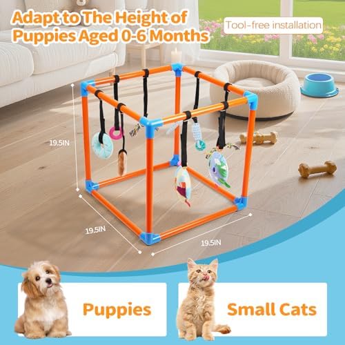 Liitrton Puppy Play Gym for Small Dogs with 8 Hanging Toys, Orange