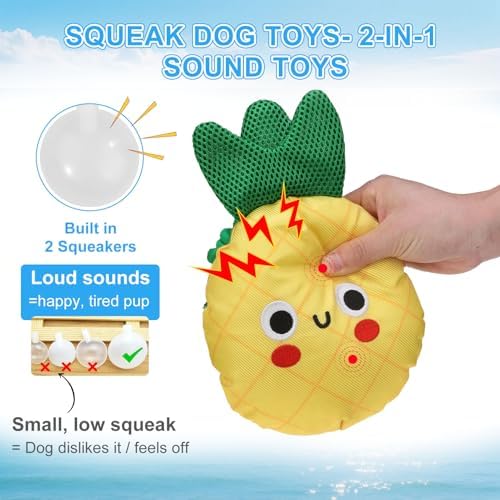 BEAUTYZOO Floating Dog Pool Toys 2 Pack,Squeaky Water Fetch Toys for Summer