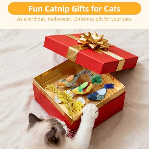 Tocirelo Interactive Hanging Cat Toy Bird with Catnip Feather, Door Cat Toy