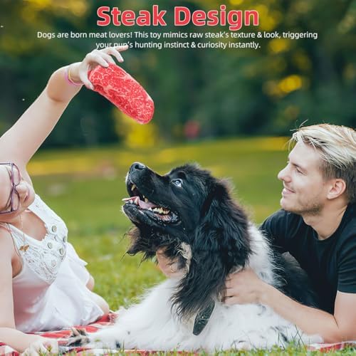 2Pcs Dog Chew Toys, Artificial Steak Plush Squeaky Dog Toys for Interactive