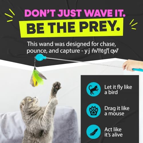 Jackson Galaxy Gotcha! Feather Wand Attachment, Cat Toy Refill