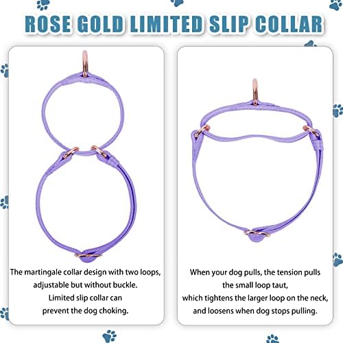 Soft Leather Martingale Dog Collar - Adjustable Rose Gold Limited Slip Collars [Easy to Clean], Stylish Durable Heavy Duty Nylon No Pull Training Collar for Small Medium Large Dogs (M, Set Purple)