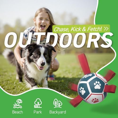 QDAN Small Dog Toys, Outdoor Indoor Toys to Keep Them Busy, Dog Soccer Ball