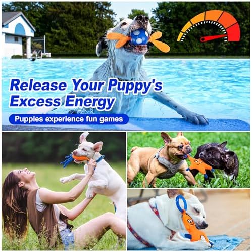 ADDPETS 4 Pack Frozen Puppy Toys to Keep Them Busy to Relieve Teething Pain,Chew Toys for Puppies 0-6 Months Relieve Teething Itch, Puppy Teething Rings to Release Excess Energy